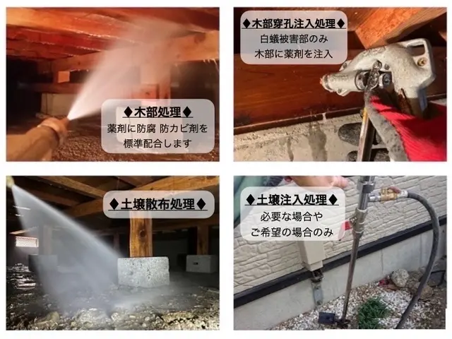 【害虫駆除部門2年連続入選】★国家資格および専門資格所持★世界基準の薬剤安全性サービスの画像