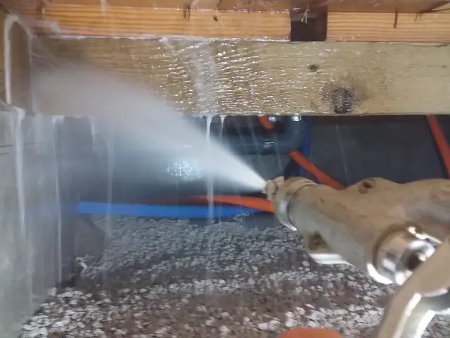 【害虫駆除部門2年連続入選】★国家資格および専門資格所持★世界基準の薬剤安全性サービスの画像