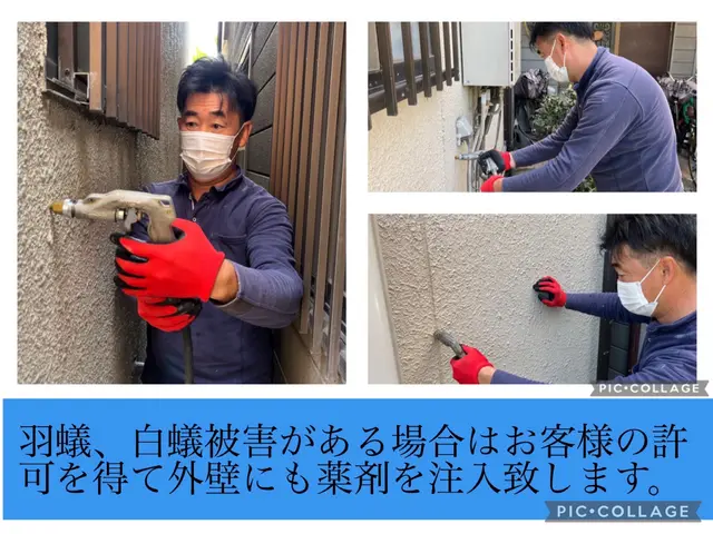 【害虫駆除部門2年連続入選】★国家資格および専門資格所持★世界基準の薬剤安全性サービスの画像