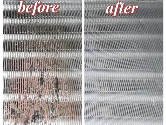 複数台割引き◎抗菌コート無料！PayPay支払いも対応サービスの画像