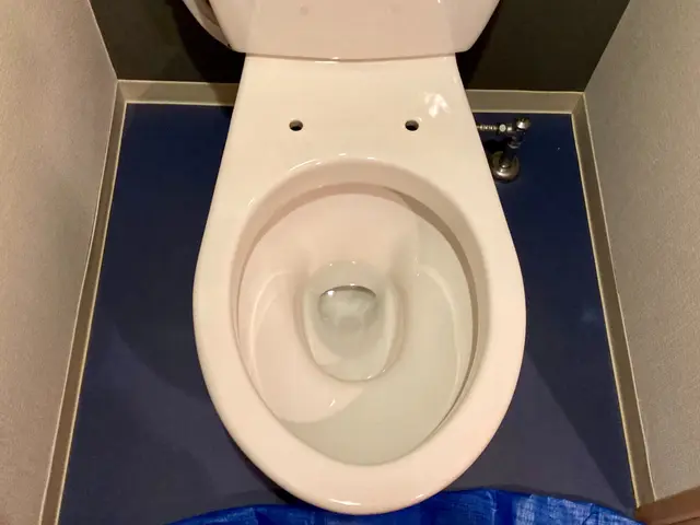 福岡市【ウォシュレット・温水便座の取外し】既設便座もどし込み！給水装置主任技術者サービスの画像