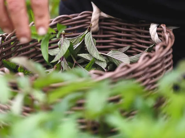 【２月出店】企業PR、SNS用、ドローンなどなど、オールジャンルに対応します。