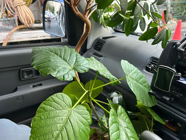 家具、荷物の配送サービスの画像