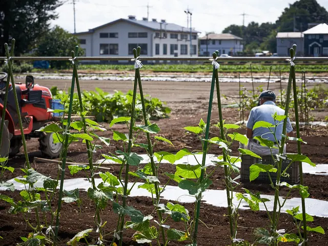 ◆大切な瞬間を逃さず記録！◆空撮OKサービスの画像