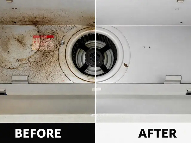 【8月新規出店！】店長が必ずお伺いします！【損害保険加入済！】サービスの画像