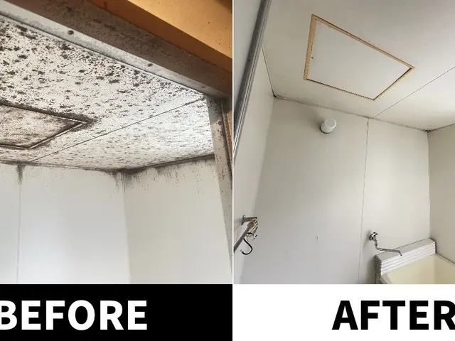 【8月新規出店！】店長が必ずお伺いします！【損害保険加入済！】サービスの画像