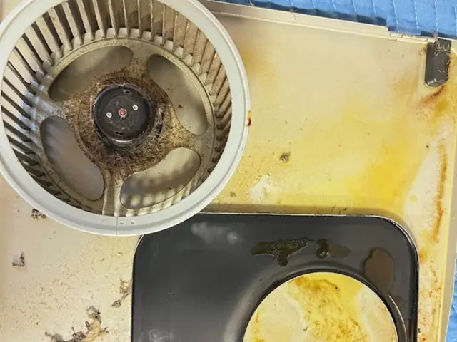 レンジフード（換気扇）クリーニング｜ピカピカライフ【油汚れ根絶・新品養生】サービスの画像