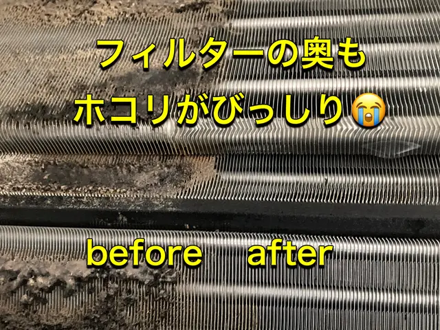 【女性対応店】カビ・ホコリ・イヤな匂いをすっきりキレイに♪サービスの画像