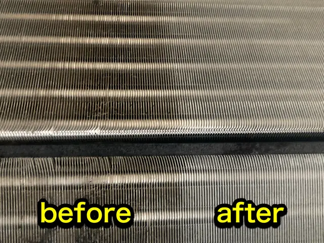 【女性対応店】カビ・ホコリ・イヤな匂いをすっきりキレイに♪サービスの画像