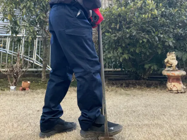 経験10年以上、2級造園施工管理技士による芝生エアレーション　施肥サービスしますサービスの画像