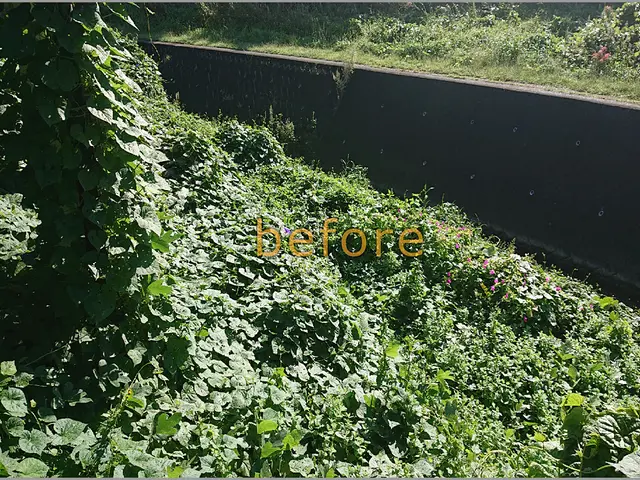 クレカ決済可能☆草刈り 伐採 除草剤散布 ( 暖謝離本舗 ) にお任せ下さい☆サービスの画像