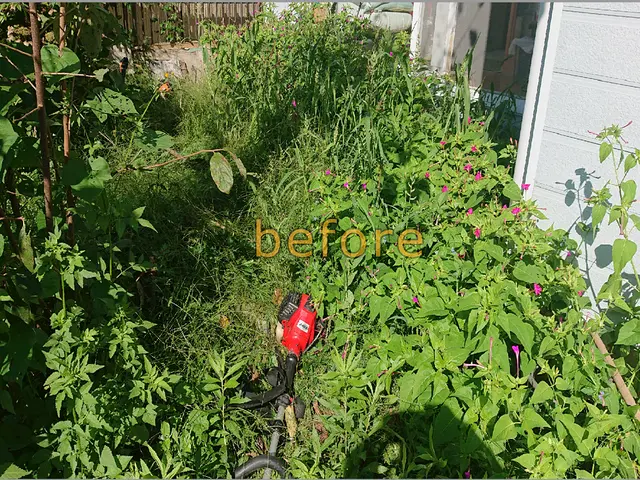 クレカ決済可能☆草刈り 伐採 除草剤散布 ( 暖謝離本舗 ) にお任せ下さい☆サービスの画像