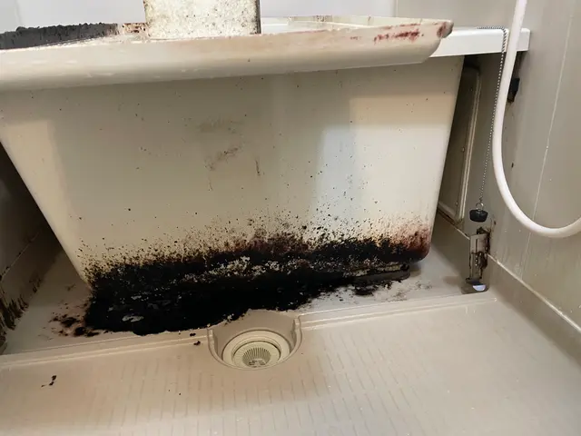 【土日祝日・即日可！】 元大手社員が隅々まで専用洗剤で洗浄！ ご予約はお早めに！サービスの画像