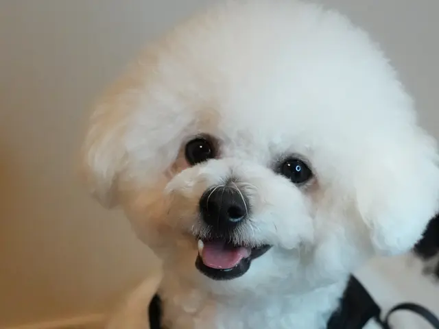 【10月出店】自然な笑顔を引き出すコミュニケーション力