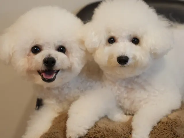 【10月出店】自然な笑顔を引き出すコミュニケーション力