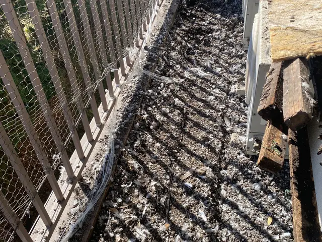 実績100件以上✩清掃・消毒・ネット込み★5年以上耐久する美観の損なわないネットサービスの画像