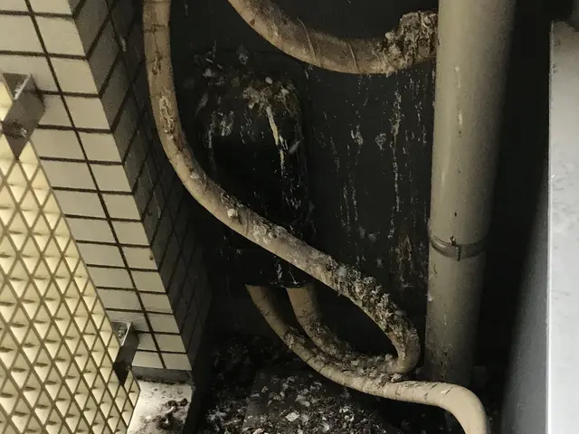 実績100件以上✩清掃・消毒・ネット込み★5年以上耐久する美観の損なわないネットサービスの画像