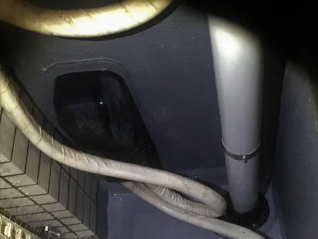 実績100件以上✩清掃・消毒・ネット込み★5年以上耐久する美観の損なわないネットサービスの画像