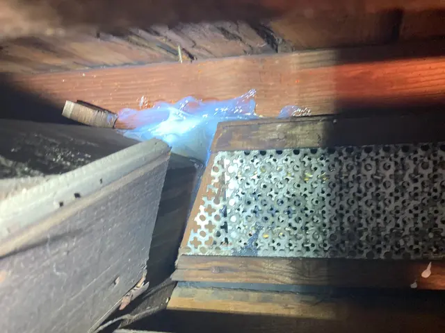 【25年以上・年間4,000件以上の害虫駆除実績】蜂の種類なんでも対応できます！サービスの画像