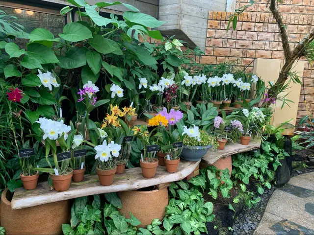 公園管理経験を活かした、信頼の水やりサービスサービスの画像