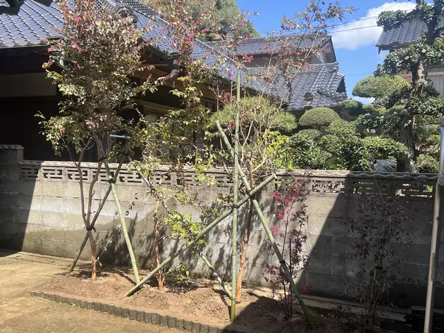 庭木・植木の植え替え専門｜移植で守る大切な木の命サービスの画像