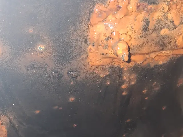 ☆オープン記念につき値下げ中☆グリストラップ清掃で厨房を快適にします！サービスの画像