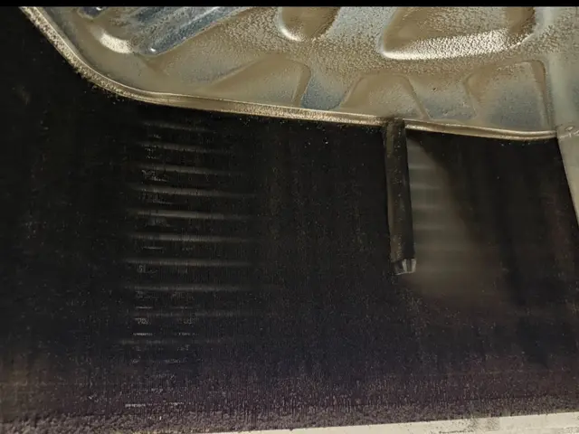 防臭防カビ抗菌コート無料★きれいな空気で爽やか★徹底洗浄でカビとホコリを撃退！サービスの画像