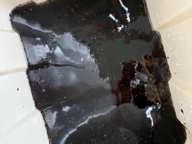 嬉しい口コミ多数ありがとうございます。2台目～6500円！プロの技術で高圧洗浄！サービスの画像