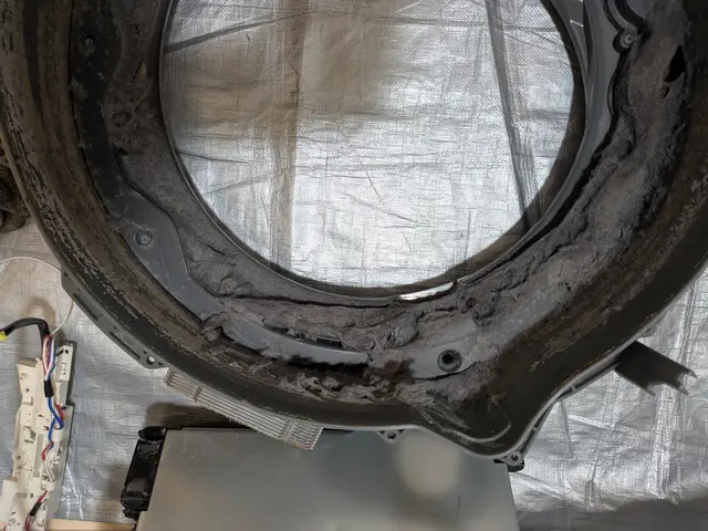 洗濯機分解洗浄／ドラム式サービスの画像