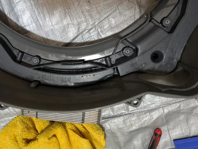 洗濯機分解洗浄／ドラム式サービスの画像