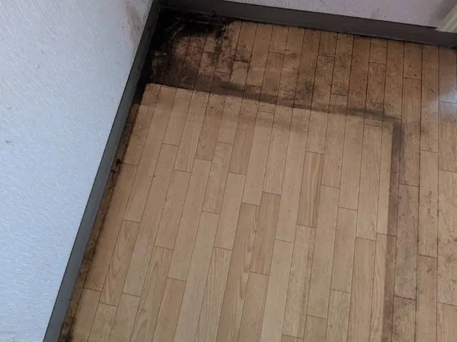 【安心、丁寧】一般家庭、飲食店、オフィスのワックスがけ、剥離【つやなし加工有り】サービスの画像