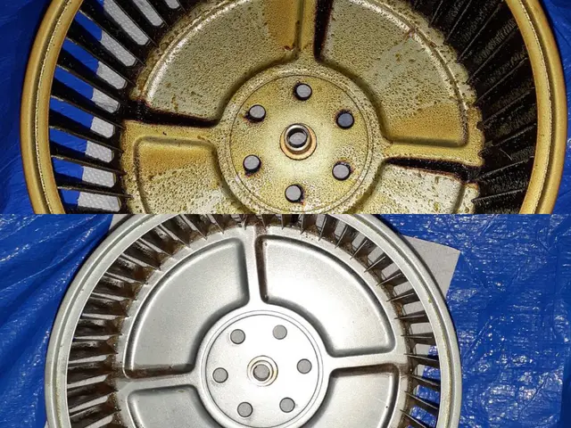 日本初！環境に優しいハウスクリーニング！もちろん身体にも！きれいごとできれいに。サービスの画像