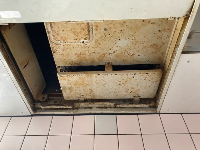 日本初！環境に優しいハウスクリーニング！もちろん身体にも！きれいごとできれいに。サービスの画像