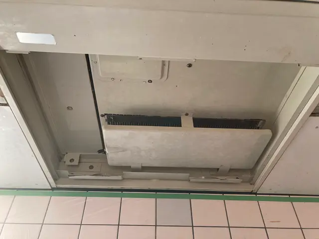 日本初！環境に優しいハウスクリーニング！もちろん身体にも！きれいごとできれいに。サービスの画像