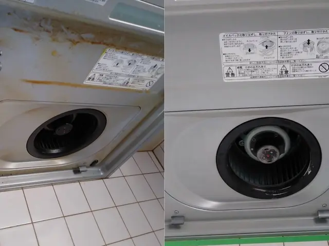 日本初！環境に優しいハウスクリーニング！もちろん身体にも！きれいごとできれいに。サービスの画像