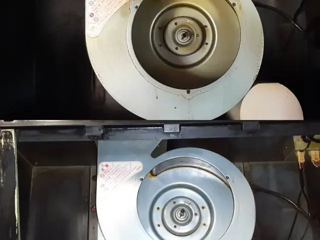 日本初！環境に優しいハウスクリーニング！もちろん身体にも！きれいごとできれいに。サービスの画像