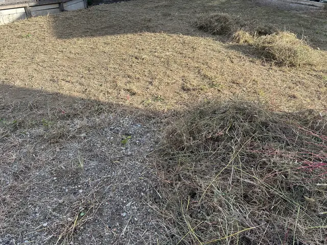 空家でお困りの方も◎立会不要◎年中無休・見積り無料◎仕上がり保証の丁寧な草刈りサービスの画像