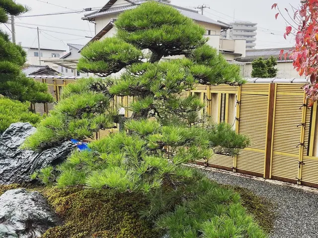 【創業55年の実績】完全自社対応！ベテラン職人にお任せください！サービスの画像