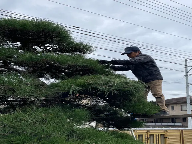 【創業55年の実績】完全自社対応！ベテラン職人にお任せください！サービスの画像