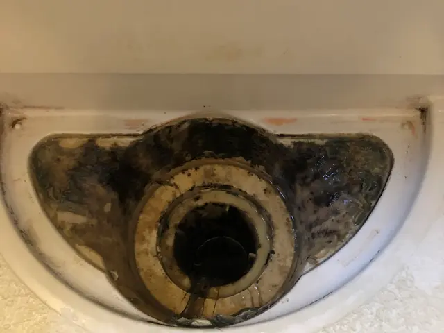 ◆プロの技術で徹底洗浄!!防カビ抗菌コート&鏡コーティング無料！◎サービスの画像