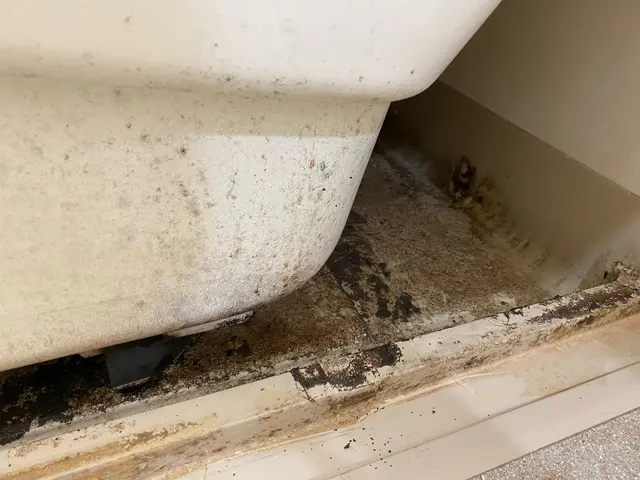 ◆プロの技術で徹底洗浄!!防カビ抗菌コート&鏡コーティング無料！◎サービスの画像