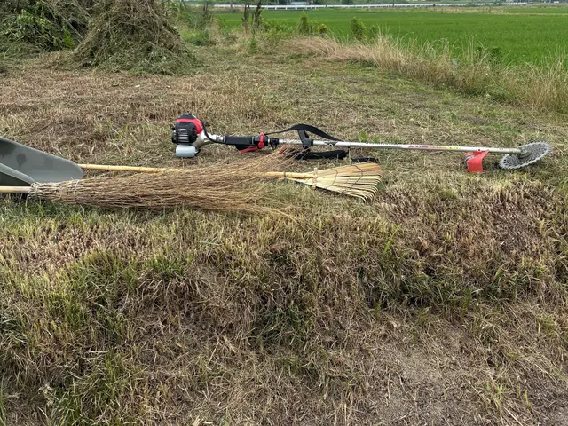 ☆雑草が気になる☆雑草で外の見た目が悪いそんな困り事を私が丁寧にお掃除致しますサービスの画像