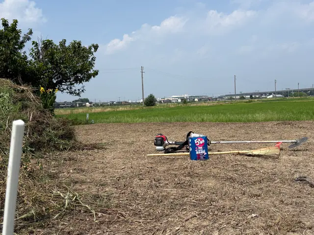 ☆雑草が気になる☆雑草で外の見た目が悪いそんな困り事を私が丁寧にお掃除致しますサービスの画像