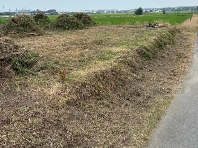 ☆雑草が気になる☆雑草で外の見た目が悪いそんな困り事を私が丁寧にお掃除致しますサービスの画像