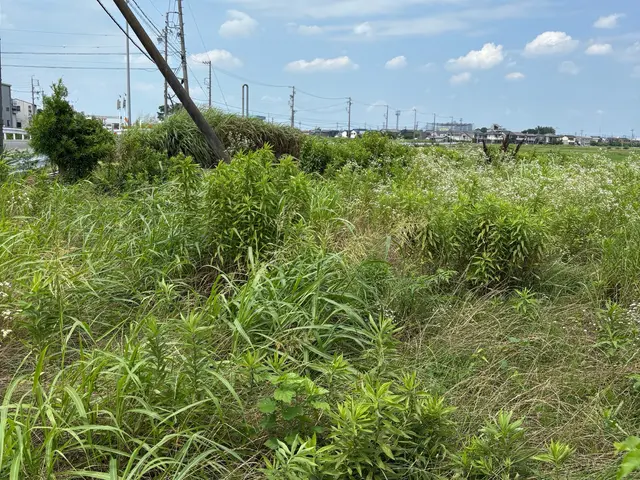 ☆雑草が気になる☆雑草で外の見た目が悪いそんな困り事を私が丁寧にお掃除致しますサービスの画像