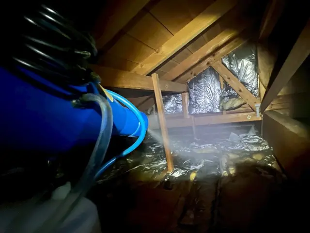 【現地調査見積無料】即日対応可！完全駆除をお約束！害獣のお悩みに寄り添います！サービスの画像