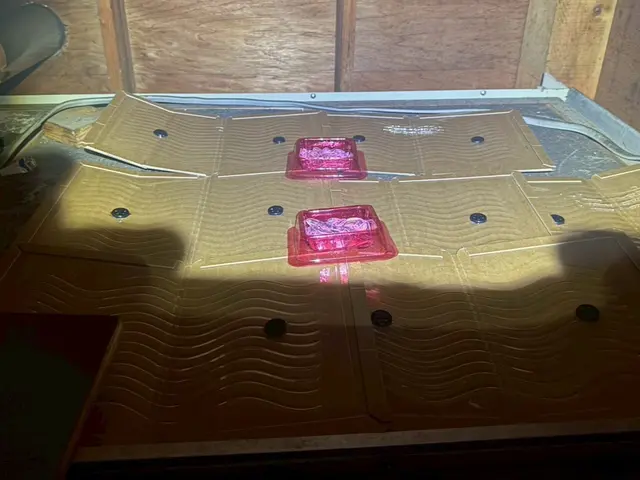 【現地調査見積無料】即日対応可！完全駆除をお約束！害獣のお悩みに寄り添います！サービスの画像