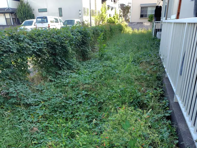 草刈りさせてください！！サービスの画像