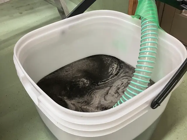 【3月前半の超割引キャンペーン】　無料でエコ洗剤に変更可能でお子様やペットも安サービスの画像