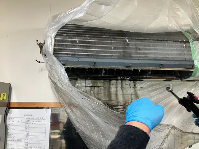 【3月前半の超割引キャンペーン】　無料でエコ洗剤に変更可能でお子様やペットも安サービスの画像